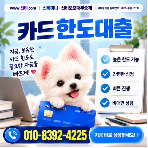 카드한도대출 금융정보 안내 썸네일
