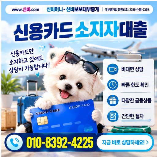 신용카드소지자대출 금융정보 안내 썸네일
