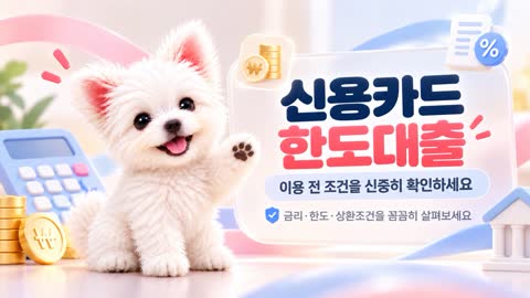 신용카드한도대출 영상 썸네일
